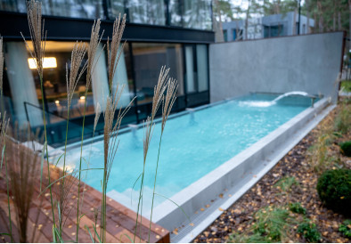 Projekt indywidualny sauny, basenu zewnętrznego, urządzenia do nalewania i jacuzzi