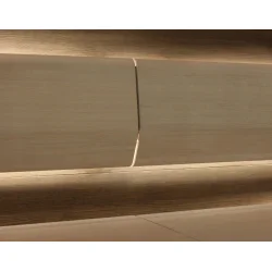 Jednostka oparcia TAIVE 