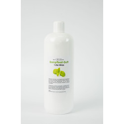 ELIGA Zapachy do łaźni tureckiej MIĘTA, 1l 