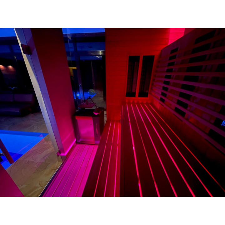 NAŚWIETLACZ LED SAUFLEX RGB Z JEDNOSTKĄ STERUJĄCĄ