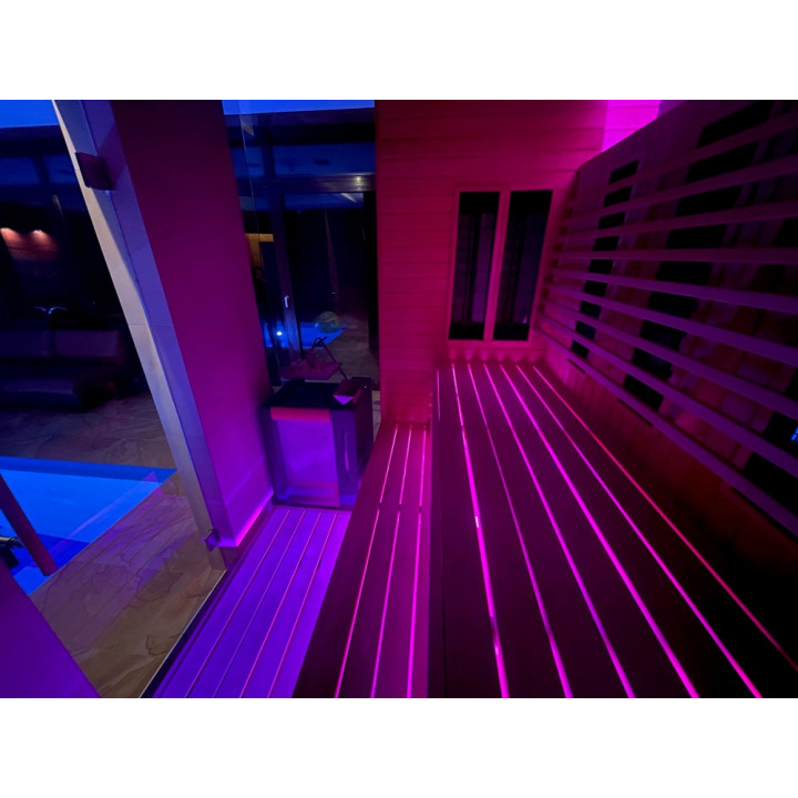 NAŚWIETLACZ LED SAUFLEX RGB Z JEDNOSTKĄ STERUJĄCĄ