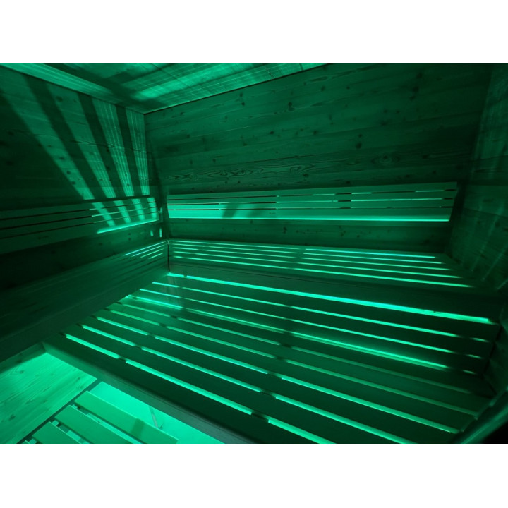 NAŚWIETLACZ LED SAUFLEX RGB Z JEDNOSTKĄ STERUJĄCĄ