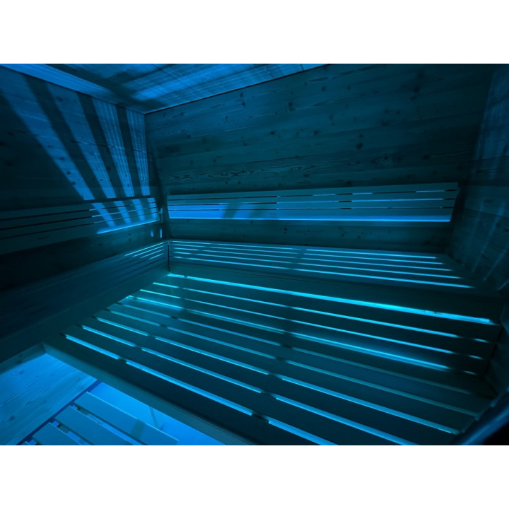 NAŚWIETLACZ LED SAUFLEX RGB Z JEDNOSTKĄ STERUJĄCĄ