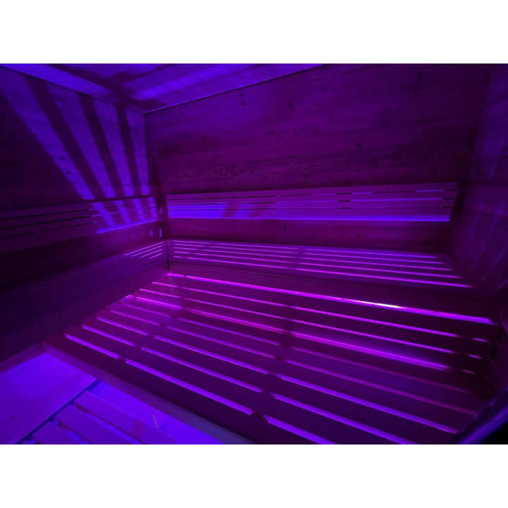 NAŚWIETLACZ LED SAUFLEX RGB Z JEDNOSTKĄ STERUJĄCĄ