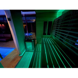 NAŚWIETLACZ LED SAUFLEX RGB Z JEDNOSTKĄ STERUJĄCĄ 