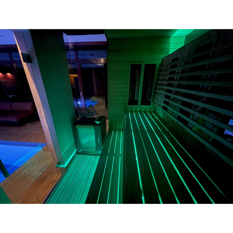 NAŚWIETLACZ LED SAUFLEX RGB Z JEDNOSTKĄ STERUJĄCĄ