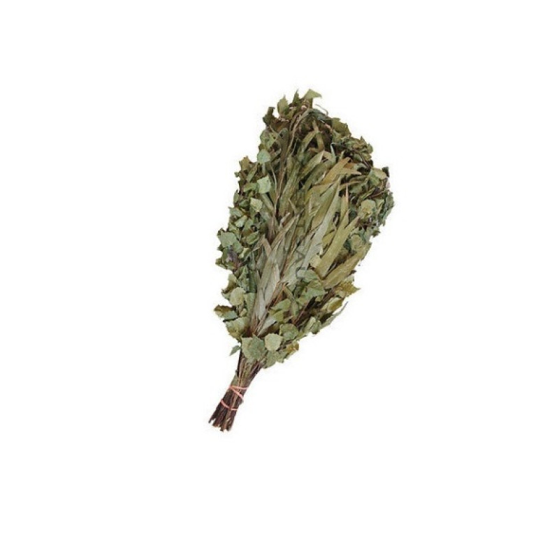 Brzoza - trzepaczka do sauny eukaliptusowej