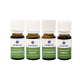 Zestaw zapachowy Emendo do sauny 4x10 ml