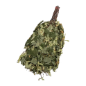Trzepaczka lipowa - 0