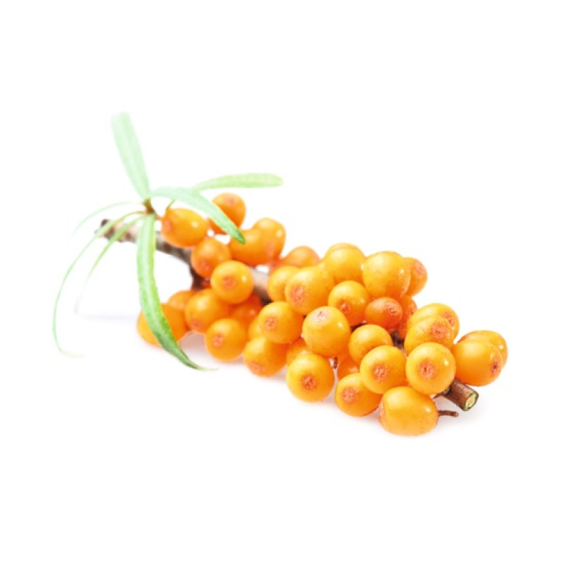 HARVIA koncentrat zapachowy do sauny rokitnik 1 l