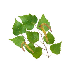 HARVIA koncentrat zapachowy do sauny, brzoza nordycka 1 l 