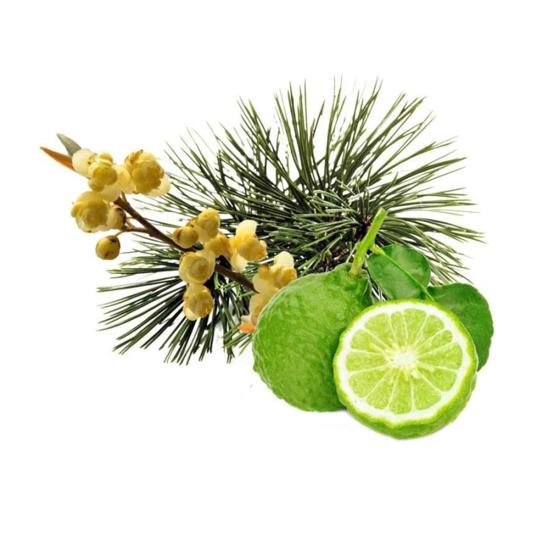 Koncentrat zapachowy do sauny HARVIA, sosna arolla, bergamotka i litsea cubeba 1 l