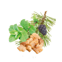 HARVIA koncentrat zapachowy do sauny, mięta pieprzowa, sosna, kadzidło i mirra 1 l 