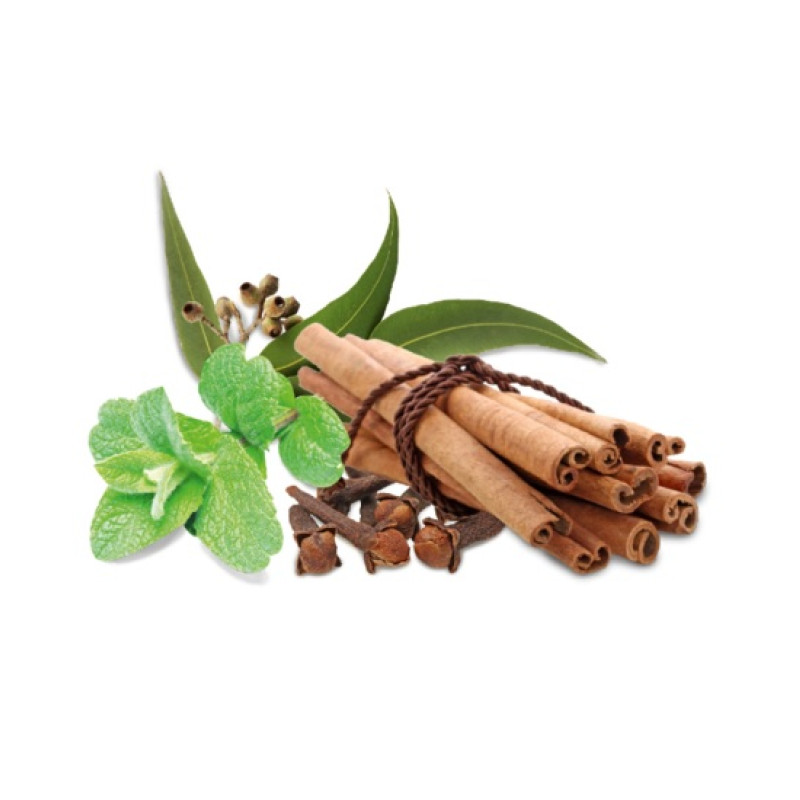 HARVIA koncentrat zapachowy do sauny, przyprawy i mięta 1 l